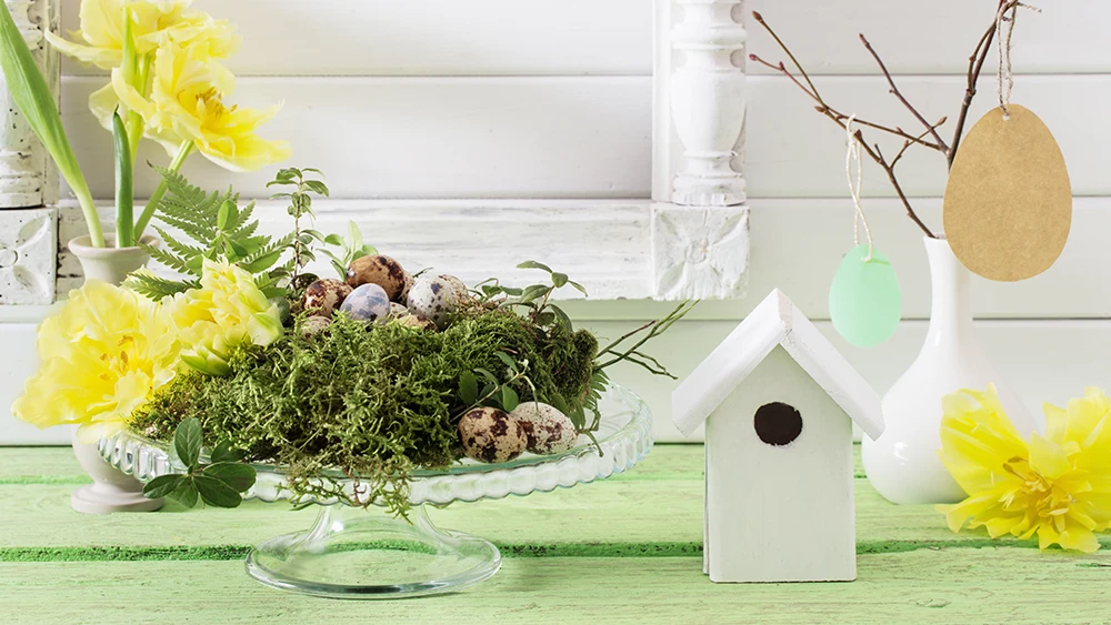 Leuke accessoires voor in de lente feature image 01